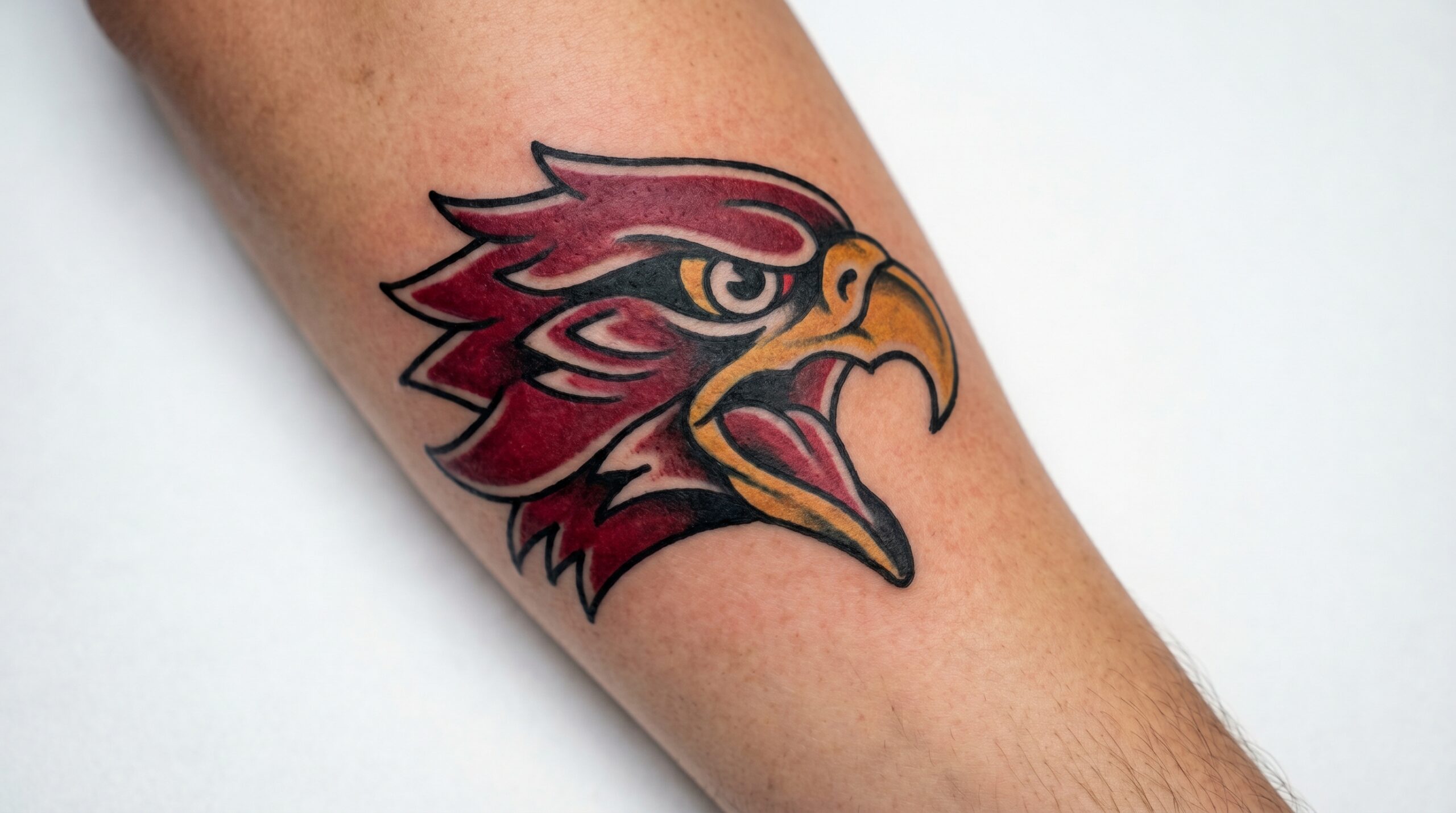 "Tatuaggio stile American Traditional con testa d’aquila feroce e becco aperto, contorni neri intensi e colori rosso e giallo dorato vivaci, design nitido e intramontabile su sfondo bianco."